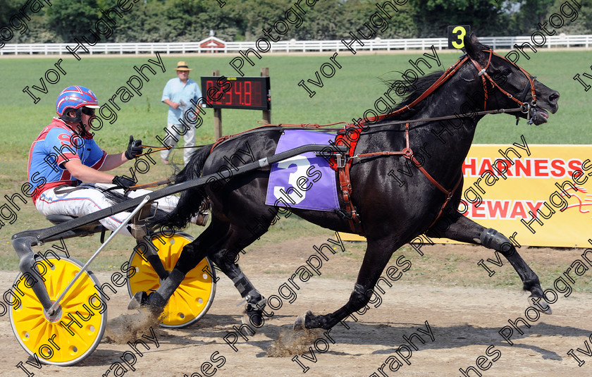 YHR100627.R4 Winner 
 Keywords: York Harness Racecourse horse racing trap trotting