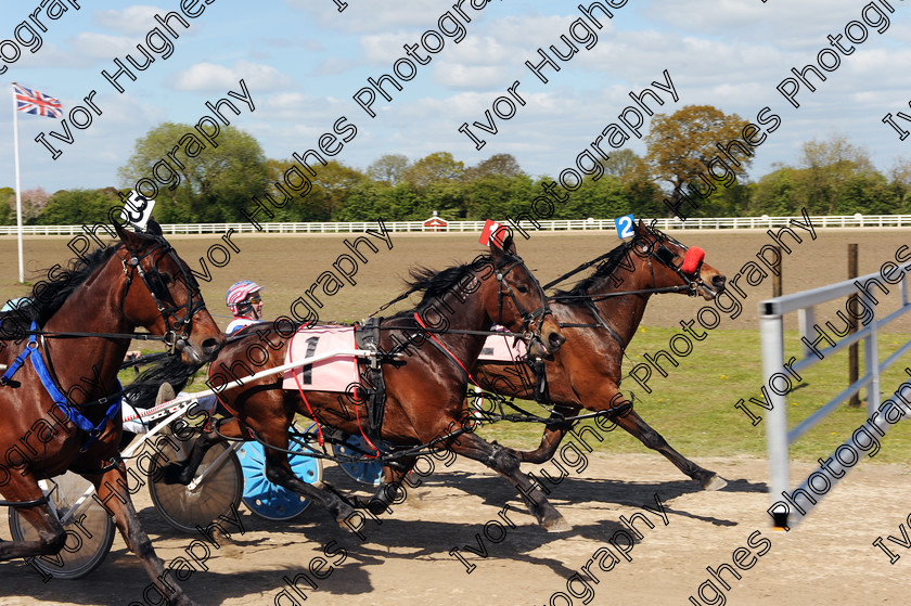 YHR09 
 Keywords: York Harness Racecourse Raceway horse racing trap trotting gate start