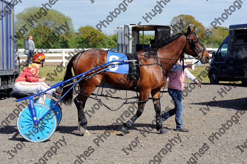 YHR020 
 Keywords: York Harness Racecourse Raceway horse racing trap trotting