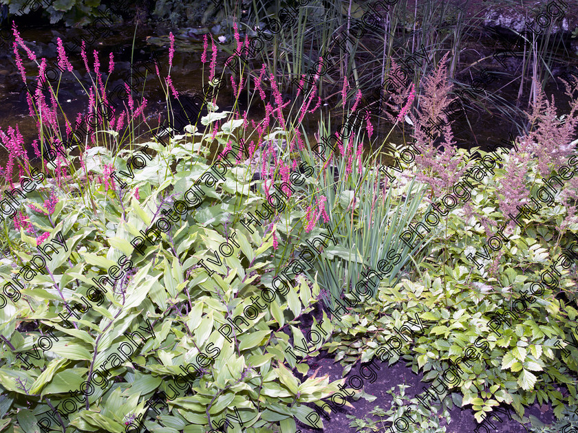 IMGP2189 
 Keywords: Goddards House York Yorkshire National Trust Stately Home Gardens Terry's medium format digital hi-res high resolution 645 vegetable garden