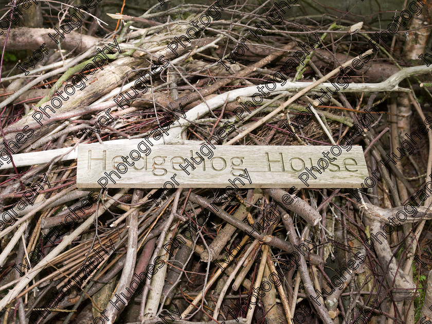 LNTA004 
 Keywords: Leeds NTA National Trust association LNTA at East Riddlesden Hall Keighley Bradford Yorkshire dye garden cheque presentation 23 June 2015 hedgehog house MF medium format hi-res