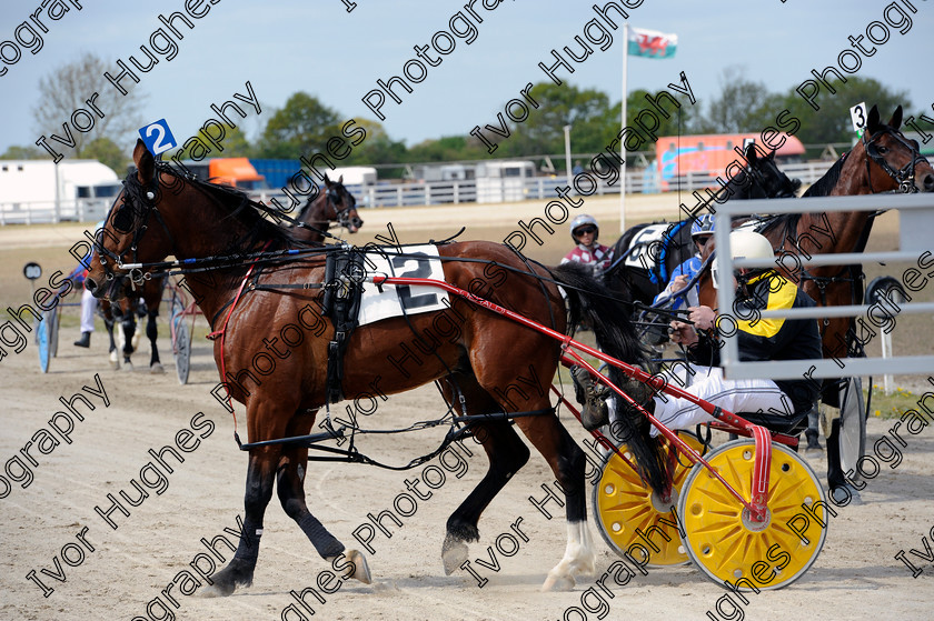 YHR027 
 York Harness Racecourse Raceway horse racing trap trotting gate start