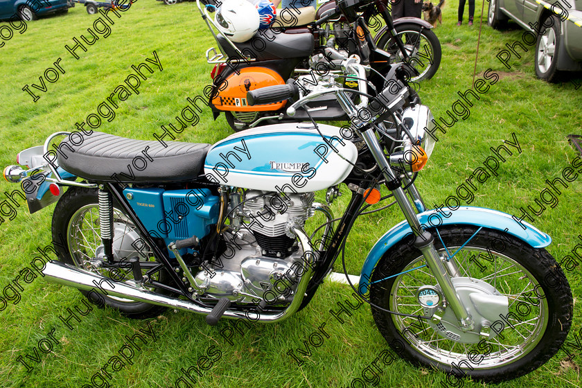 62 
 Keywords: Otley Vintage Transport Extravaganza classic sports cars steam traction engines bikes bicycles motorcycles bikes tractors buses show West Yorkshire 2014 OVTE Triumph Tiger 650cc CXE 83M