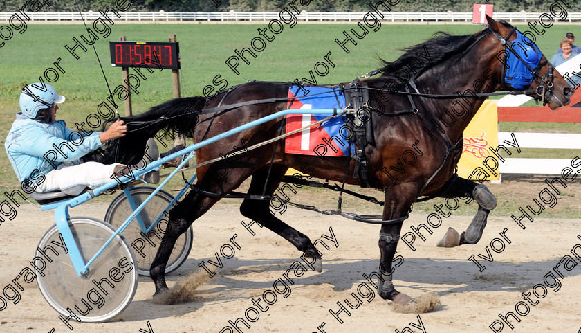 YHR100627.R8 Winner 
 Keywords: York Harness Racecourse Raceway horse racing trap trotting