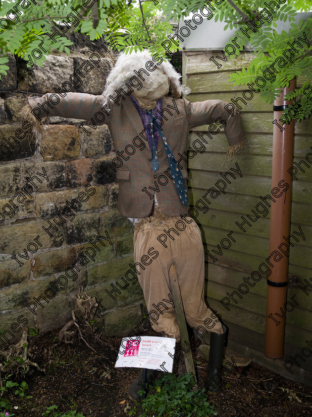 LNTA006 
 Keywords: Leeds NTA National Trust association LNTA at East Riddlesden Hall Keighley Bradford Yorkshire dye garden cheque presentation 23 June 2015 scarecrow MF medium format hi-res