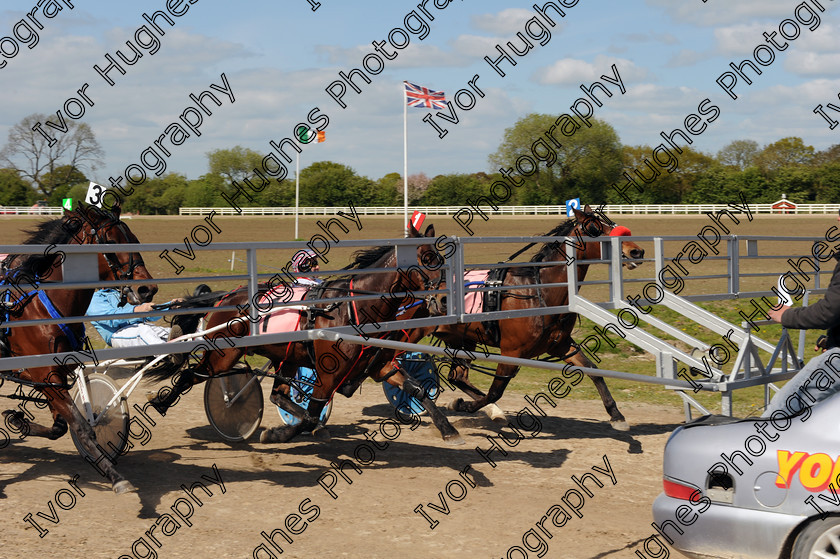 YHR028 
 Keywords: York Harness Racecourse Raceway horse racing trap trotting gate start