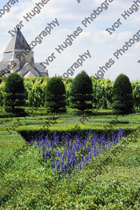 Villandry garden 21 
 Chateau Villandry Loire Valley France 
 Keywords: Chateau Villandry Loire Valley France French architecture gardens garden renaissance castle lavender