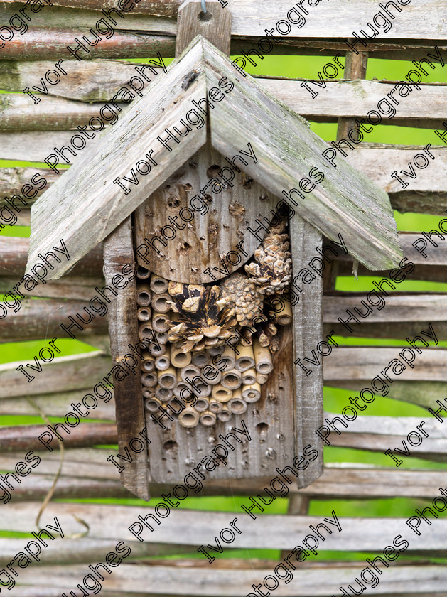 IMGP2065 
 Keywords: Goddards House York Yorkshire National Trust Stately Home Gardens Terry's medium format digital hi-res high resolution 645 insect hotel