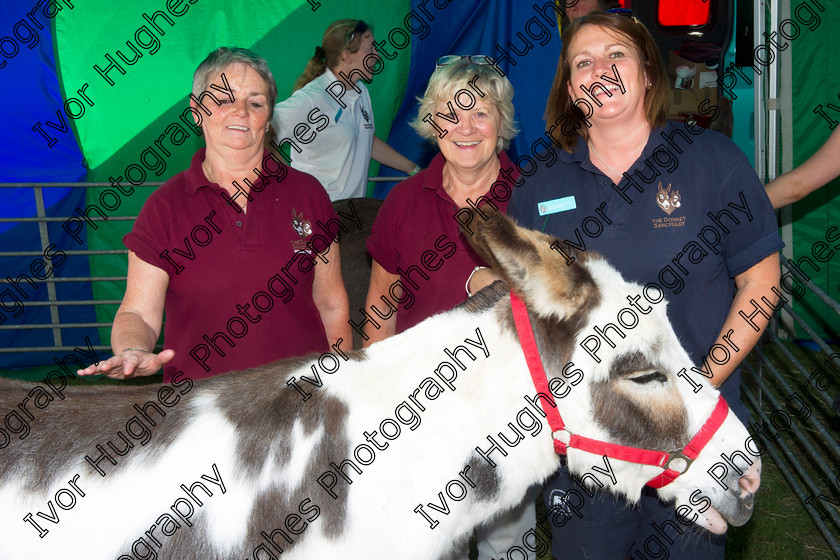 06 
 Keywords: Great Yorkshire Show Harrogate Showground farming country 2014 Leeds Donkey Sanctuary Doodles