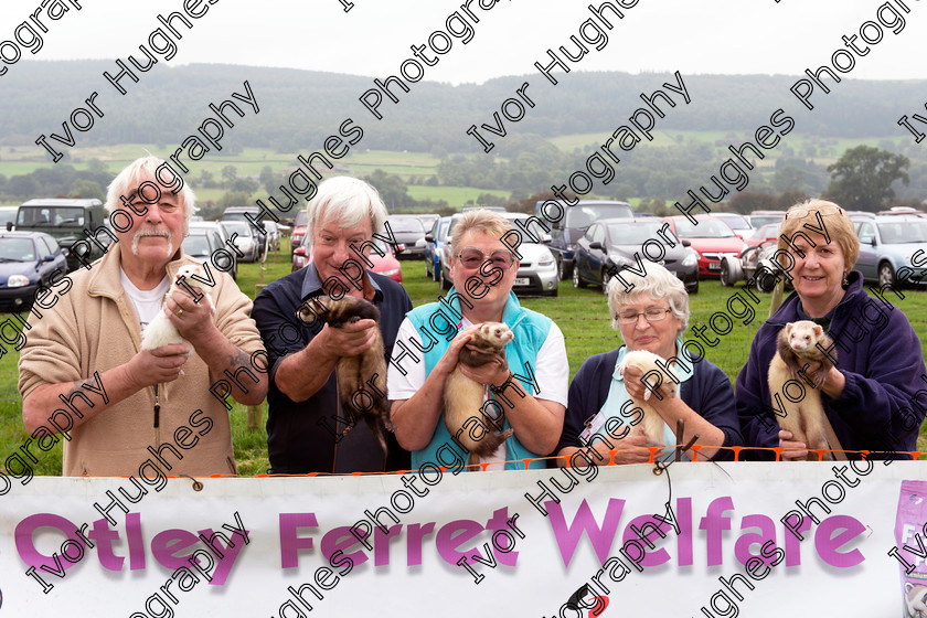 18 
 Keywords: Otley Vintage Transport Extravaganza classic sports cars steam traction engines bikes bicycles motorcycles bikes tractors buses show West Yorkshire 2014 OVTE ferret