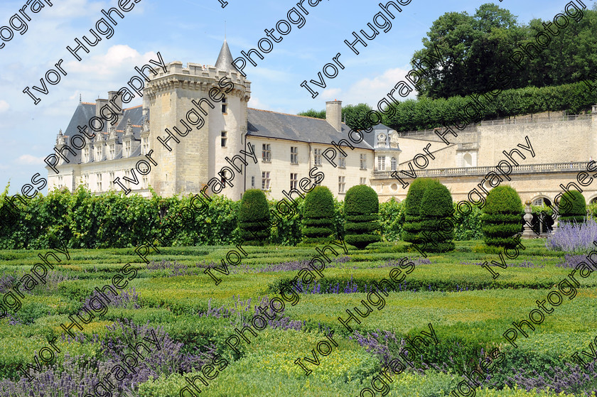 Villandry garden 12 
 Chateau Villandry 
 Keywords: Chateau Villandry Loire Valley France French architecture gardens garden renaissance castle