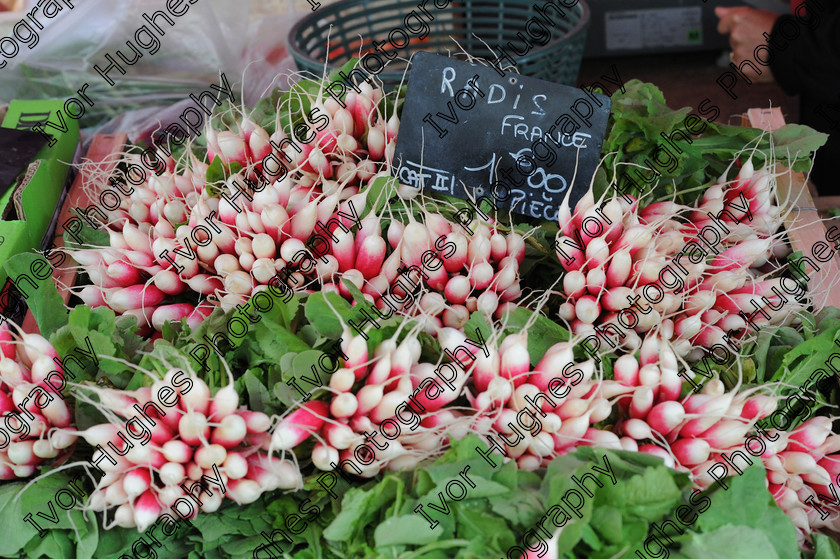 radishes01 
 French rural farmers food market radishes radis 
 Keywords: French rural farmers food market radishes radis