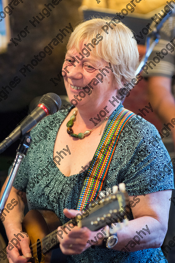 054 
 Keywords: Otley Yorkshire Folk Music Country dance Morris dancing singers Festival 2013