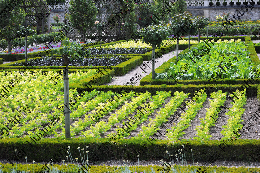 Villandry garden 18 
 Chateau Villandry Loire Valley France 
 Keywords: Chateau Villandry Loire Valley France French architecture gardens garden renaissance castle