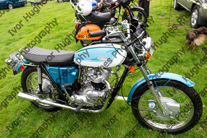 61 
 Keywords: Otley Vintage Transport Extravaganza classic sports cars steam traction engines bikes bicycles motorcycles bikes tractors buses show West Yorkshire 2014 OVTE Triumph Tiger 650cc CXE 83M