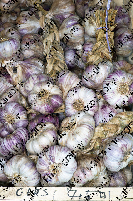 French farm farmers food market garlic 
 French_farm_farmers_food_market_garlic 
 Keywords: French_farm_farmers_food_market_garlic