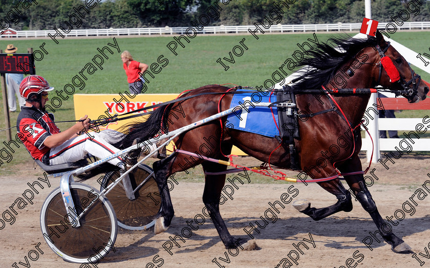 YHR100627.R7 Winner 
 Keywords: York Harness Racecourse horse racing trap trotting