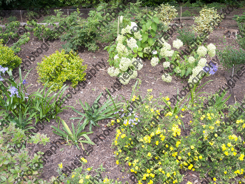 IMGP2179 
 Keywords: Goddards House York Yorkshire National Trust Stately Home Gardens Terry's medium format digital hi-res high resolution 645 vegetable garden