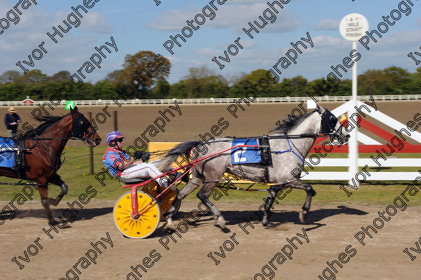 YHR11 
 Keywords: York Harness Racecourse Raceway horse racing trap trotting winning post