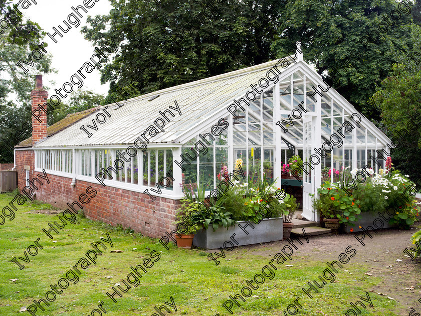 IMGP2195 
 Keywords: Goddards House York Yorkshire National Trust Stately Home Gardens Terry's medium format digital hi-res high resolution 645 vegetable garden greenhouse